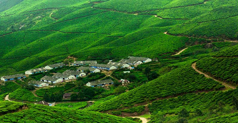 munnar