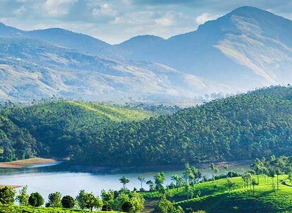 Photo Point – Munnar