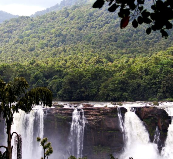 Recommended Hotels in Athirappilly