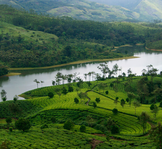 Recommended Hotels in Munnar