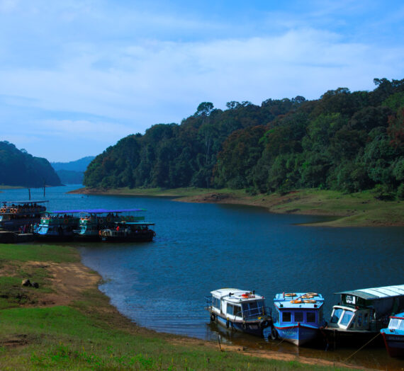 Recommended Hotels in Thekkady